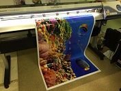 Интерьерная печать 